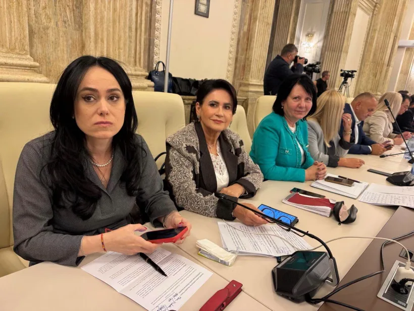 Deputatul PSD Viorica Sandu, întrebare pentru ministrul propus al Finanțelor: „Când se deblochează plățile prin Anghel Saligny?”