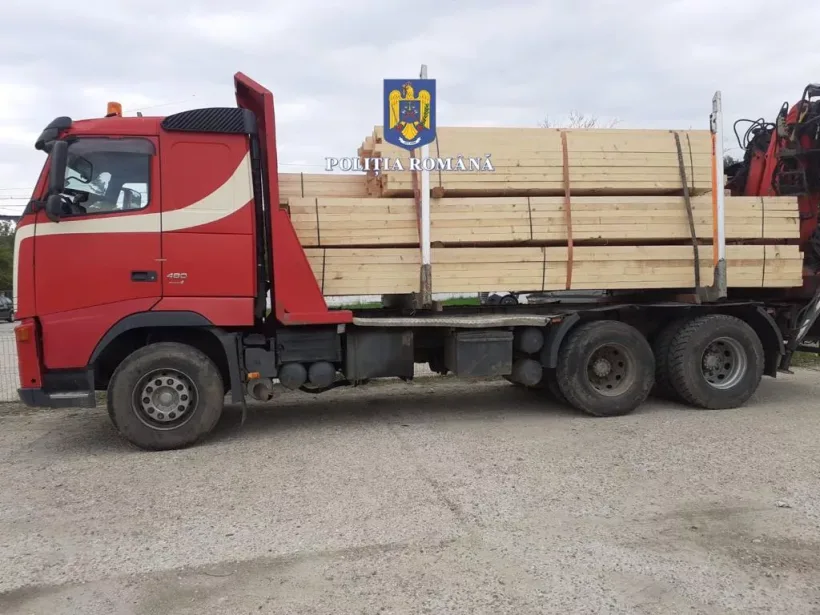 Transporturi ilegale de lemne, depistate de polițiști în două localități din Galați. Amenzi de 3.000 de lei