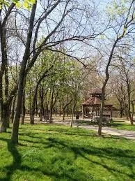 Plimbarea în parc are şi ea riscurile ei