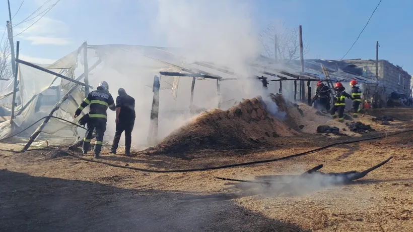Solar cu legume, cuprins de flăcări la Matca