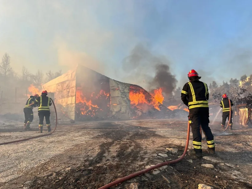 Modulul național specializat de stins incendii de pădure acționează, inclusiv pe timpul nopții, în sprijinul salvatorilor din Grecia