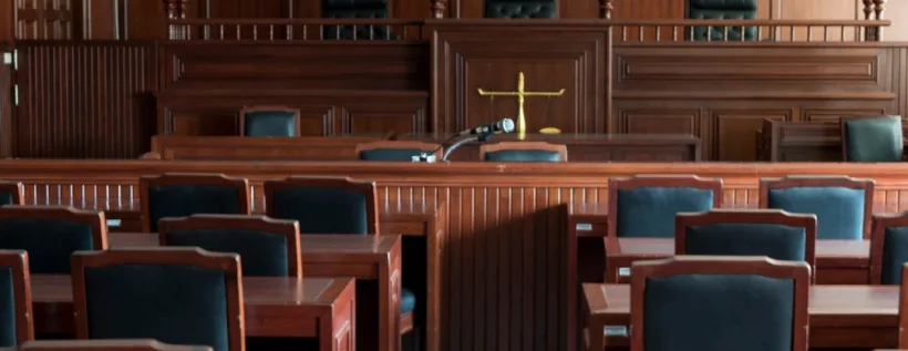 Din ciclul: ”Justiție în Pandemie”