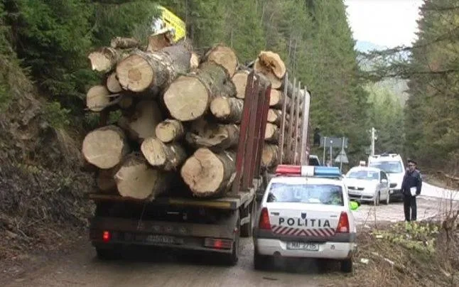 Aplicația Inspectorul Pădurii, descărcată de peste 18.900 de utilizatori