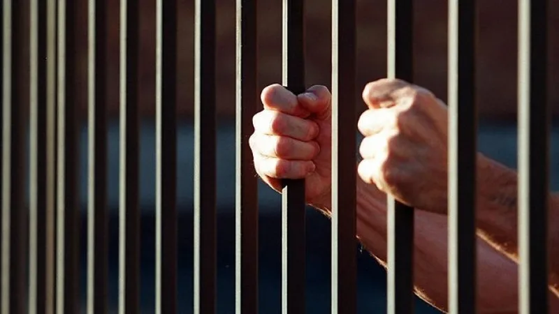 Condamnat la un an de închisoare cu executare pentru uciderea unui câine