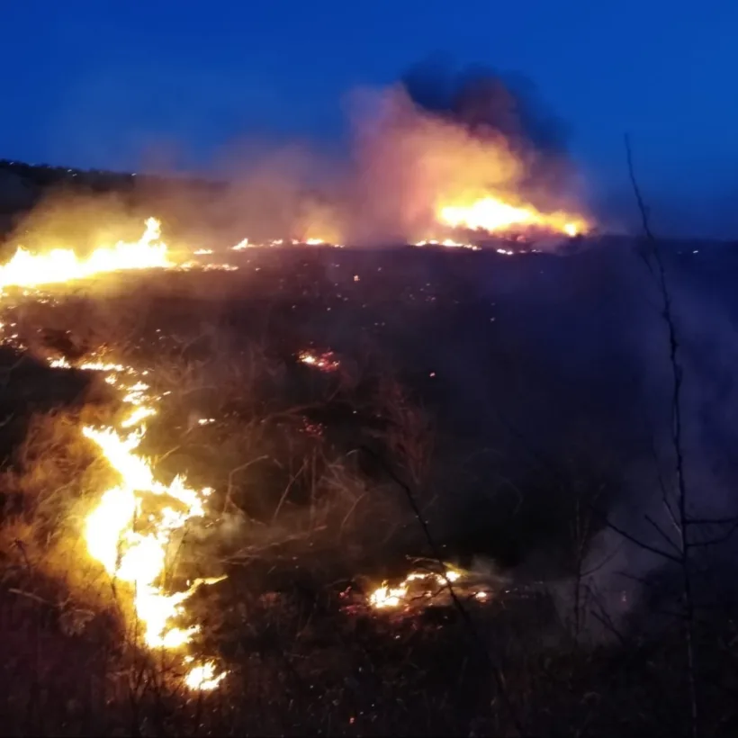 Să fi fost el incendiatorul?