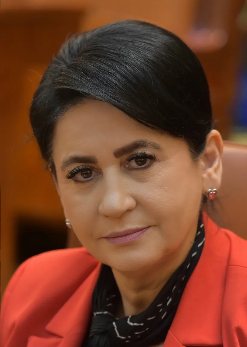 Viorica Sandu: Trebuie să facem tot posibilul ca o fabrică în domeniul semiconductoarelor să fie mutată în România