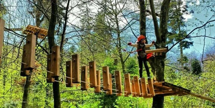 Consiliul Județean Galați amenajează un parc de aventură în Pădurea Gârboavele