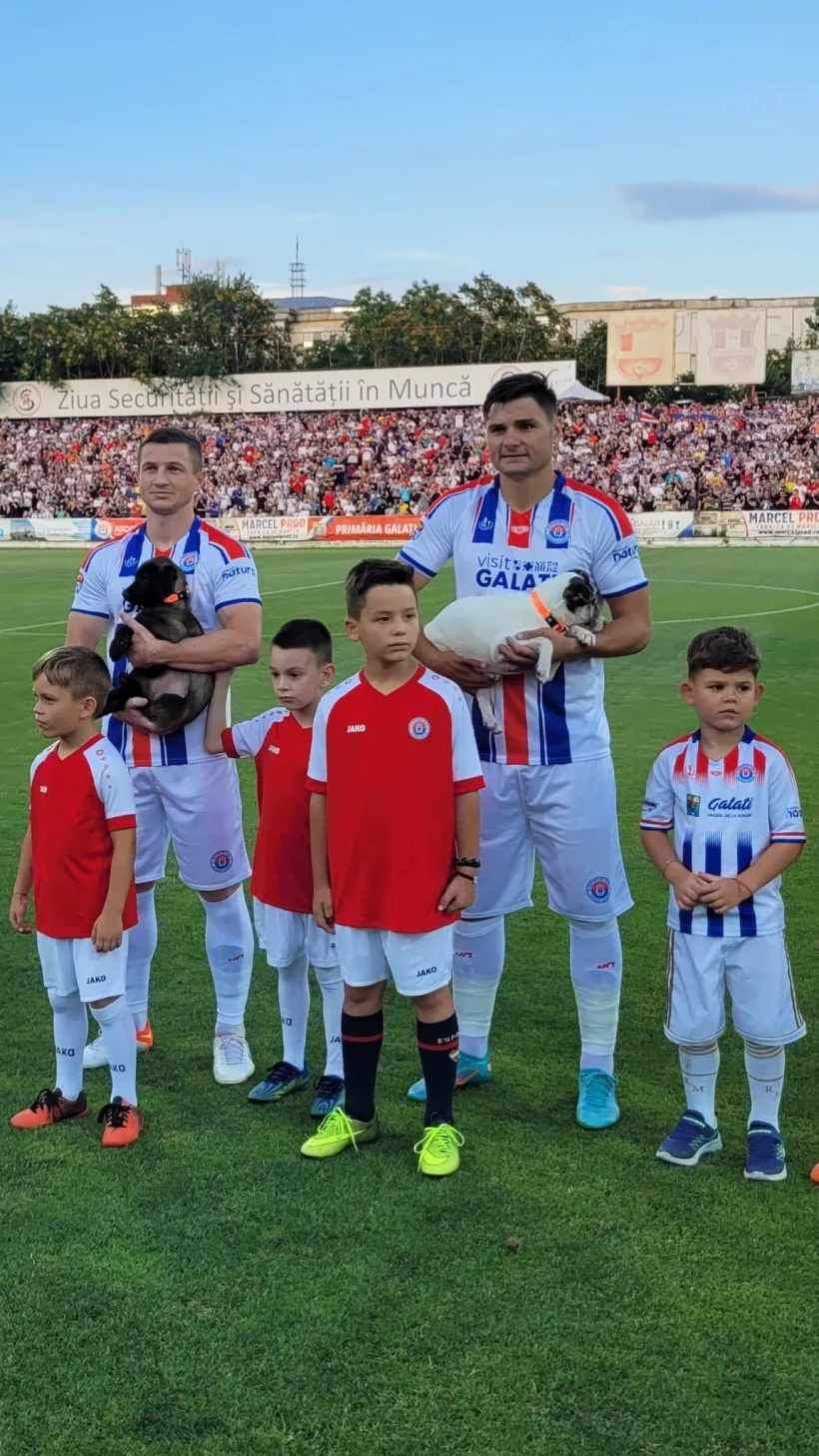 Eveniment de suflet: căinii de la Ajutați-l pe Lăbuș, la meciul dintre Oţelul Galaţi-FCSB