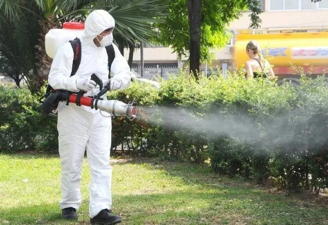 O nouă etapă de dezinsecție în Galați