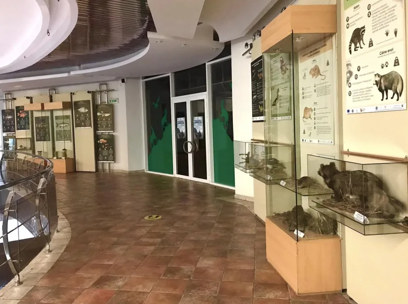 Complexul Muzeal de Științele Naturii Galați, modernizat cu fonduri PNRR