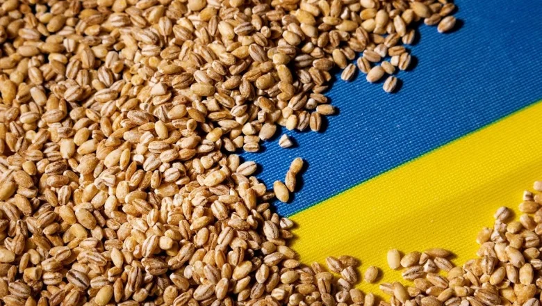 România stopează importul de cereale din Ucraina până pe 5 iunie