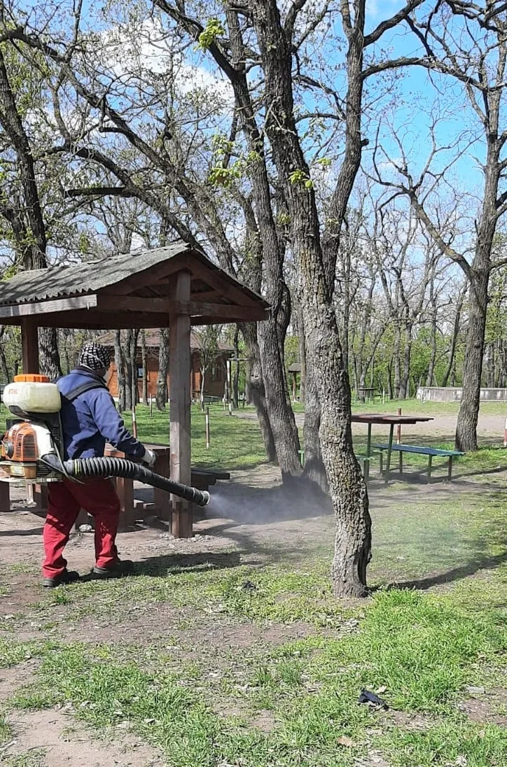 Începe dezinsecție la sol în orașul Galați